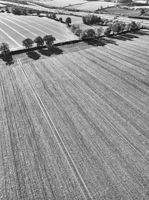 Derecho Agrario y de Cooperativas. agricultura
